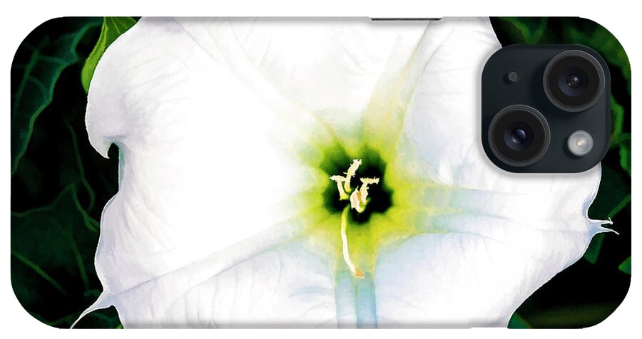 © 2017 Lou Novick All Rights Reserved iPhone Case featuring the photograph Jimson Weed #1 by Lou Novick