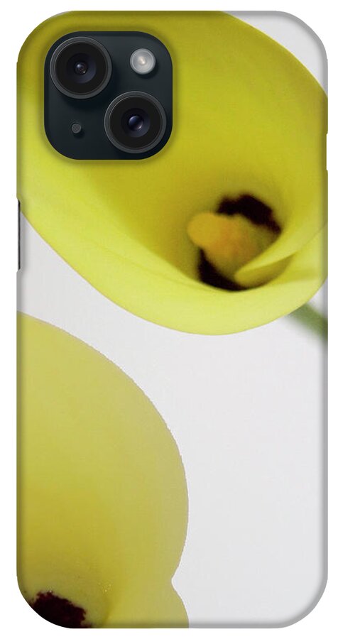 #abstract #flower #floral #botanical #art #artist #print #photography #beauty #nature #expressionism #cala #lily #yellow #joiedevivre iPhone Case featuring the photograph Joie De Vivre by Jacquelinemari