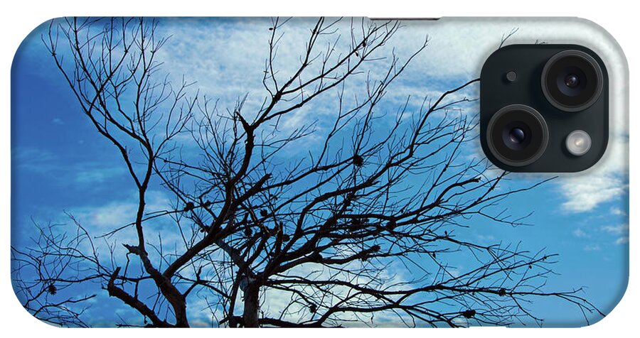 Tikki iPhone Case featuring the photograph Jonathan Dickinson State Park Dead Tree by Ken Figurski