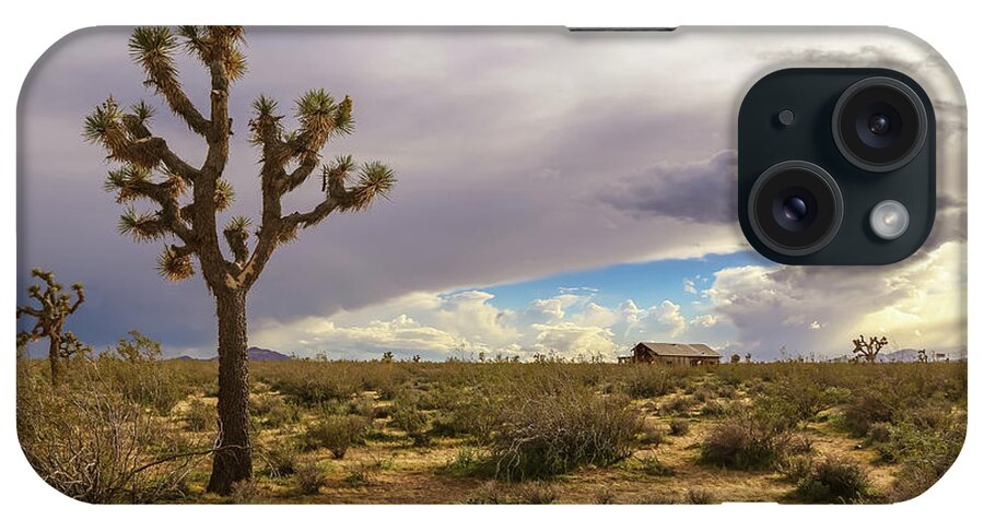 Usa iPhone Case featuring the photograph Joshua tree by Alberto Zanoni