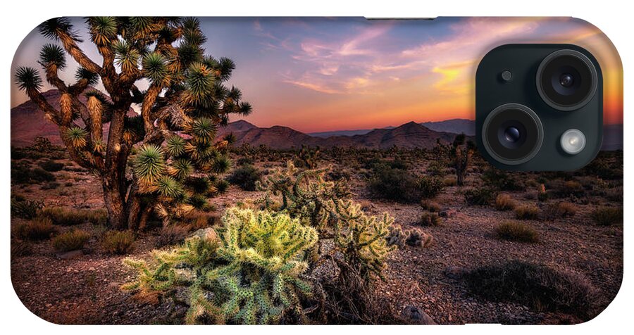 Utah iPhone Case featuring the photograph Joshua Tree and Cactus at Sunset by Michael Ash