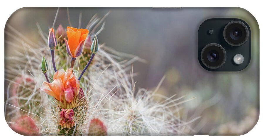 Cactus iPhone Case featuring the photograph Joshua Tree Cactus and Flower by Peter Tellone