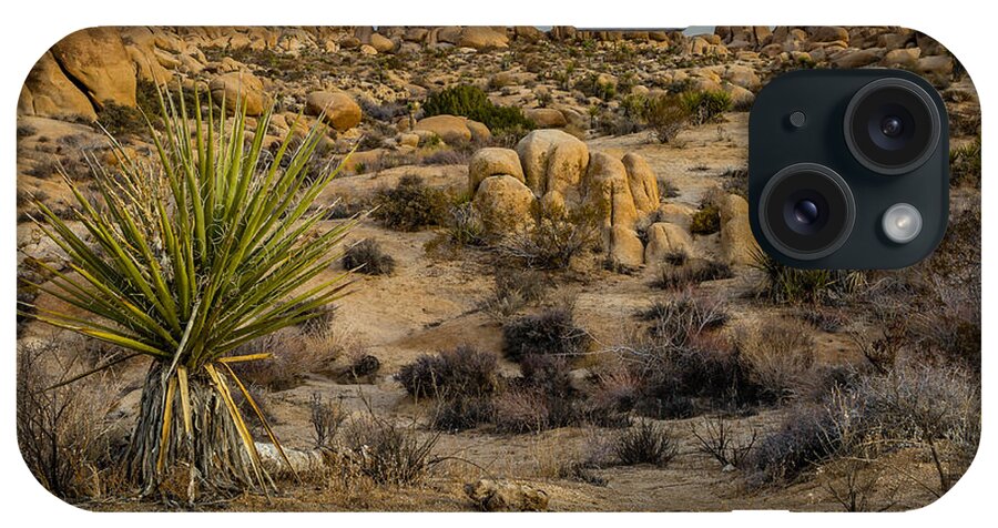Desert iPhone Case featuring the photograph Joshua Tree by Gary Migues