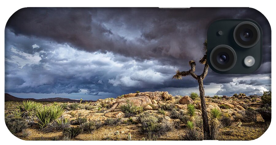 Agave iPhone Case featuring the photograph Joshua Tree Light by Peter Tellone