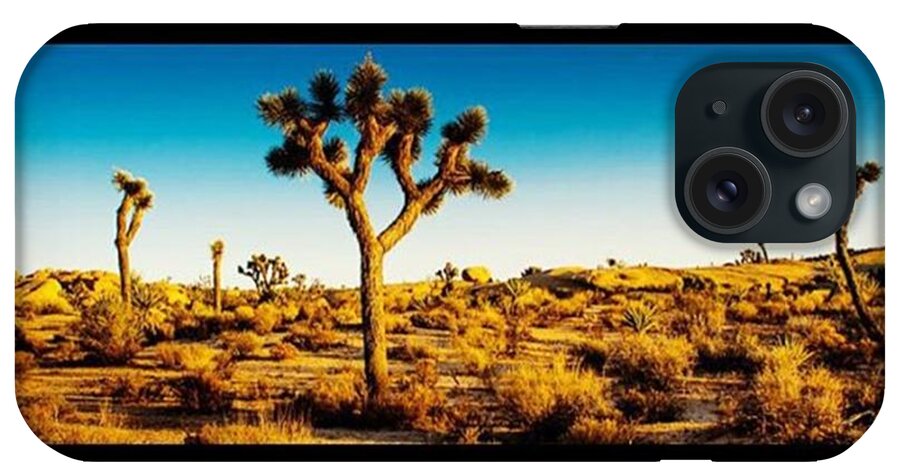 Joshuatree iPhone Case featuring the photograph Joshua Tree Panoramic. #california by Alex Snay