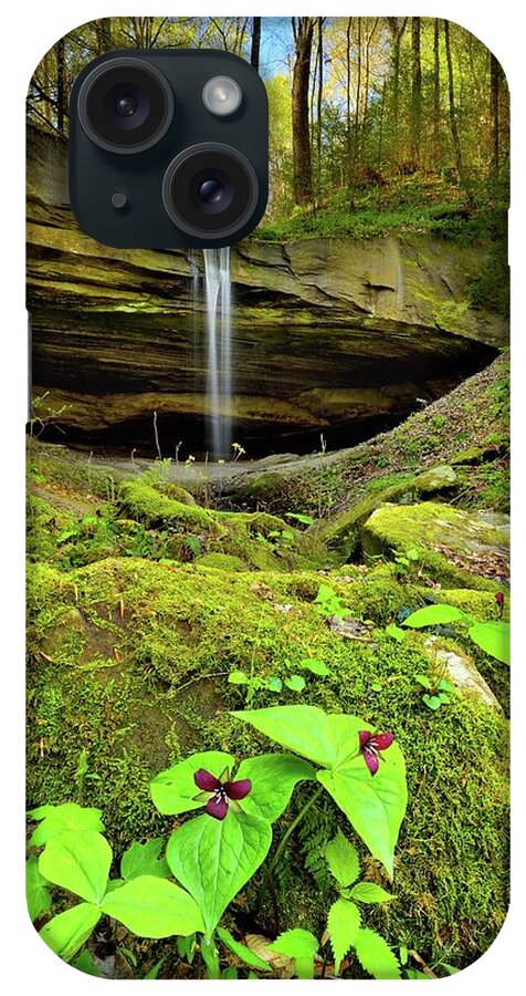 Nature Landscape Waterfall Trillium Kentucky Big South Fork River Yamacraw Princess Falls Spring iPhone Case featuring the photograph Julia Lynn Falls by Jeff Burcher