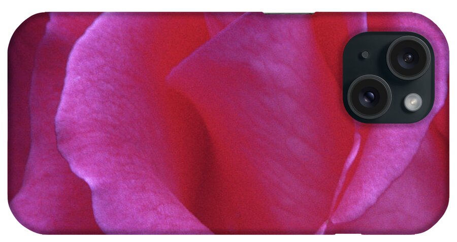 Rose iPhone Case featuring the photograph Juliet's Rose V2 by Janet DeLapp