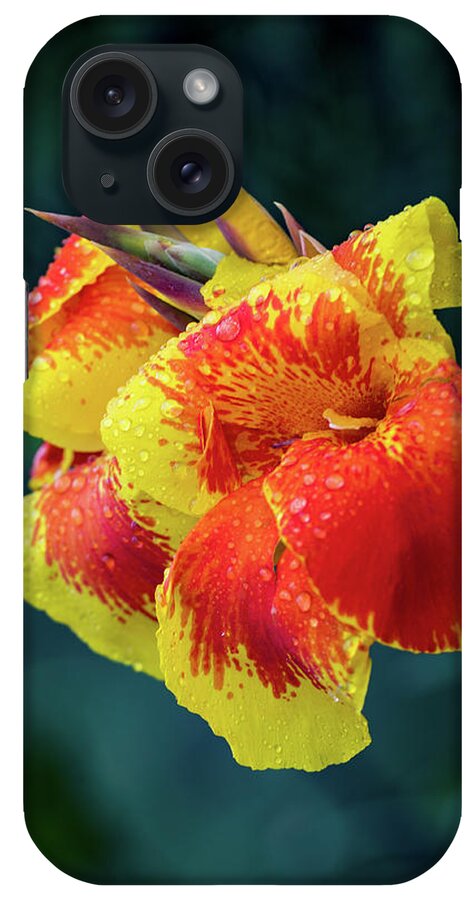 Punta iPhone Case featuring the photograph Jungle Flowers by Ross Henton