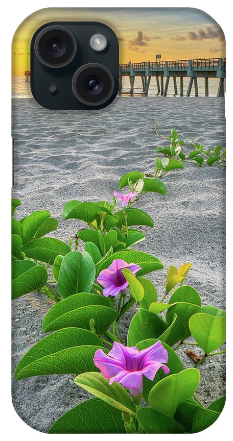 Juno Beach iPhone Case featuring the photograph Juno Beach Pier Purple Flowers by Kim Seng