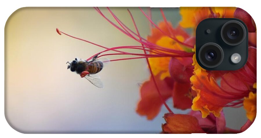 Honey Bee iPhone Case featuring the photograph Just A Little Bit More by John Glass