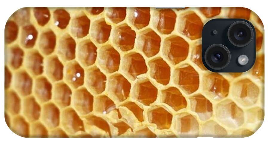 Longislandbeekeeping iPhone Case featuring the photograph Just Received A (very) Local, Organic by Maegan Bourne