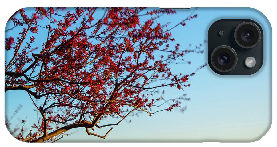 America iPhone Case featuring the photograph Kansas City Skyline in Spring by Gregory Ballos