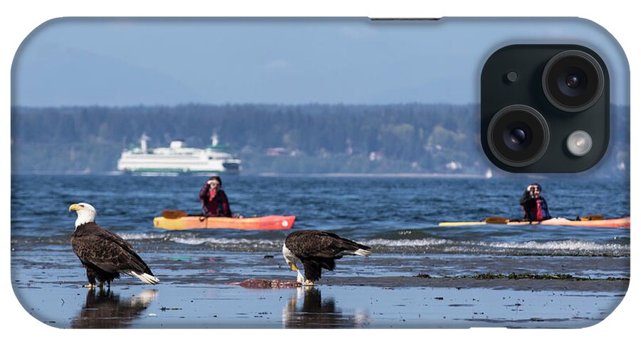 Eagles iPhone Case featuring the photograph Kayaking with bald eagles by Matt McDonald