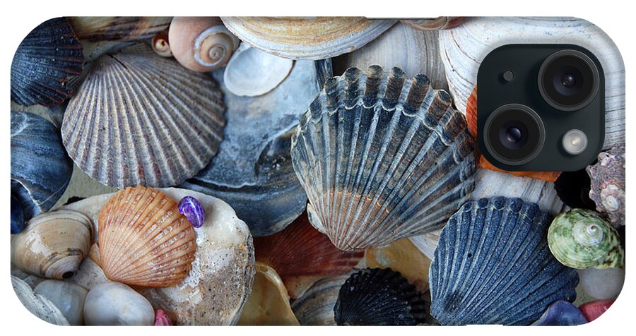 Seashells iPhone Case featuring the photograph Kayla's Shells by John Schneider