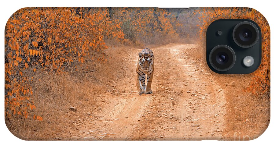 Tiger iPhone Case featuring the photograph Keep walking by Pravine Chester