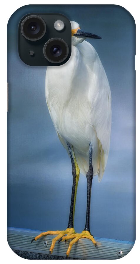 Egret iPhone Case featuring the photograph Keeping Watch by Kim Hojnacki
