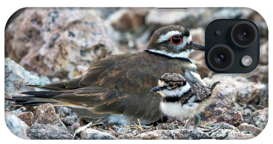 Kildeer iPhone 15 Case featuring the photograph Kildeer Adult and Chick 6019-041818-1cr by Tam Ryan