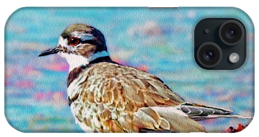 Killdeer iPhone Case featuring the painting Killdeer by Ken Everett