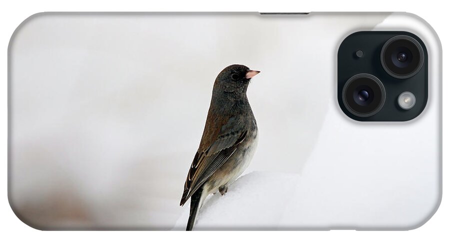 Junco iPhone Case featuring the photograph King of the Hill by Jackson Pearson