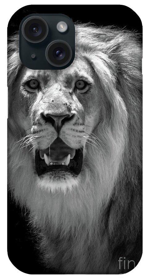 Lion iPhone Case featuring the photograph King Of The Jungle by Adrian De Leon Art and Photography