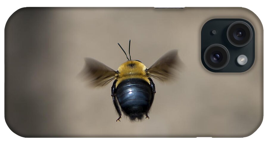 Bee iPhone Case featuring the photograph Kiss My BeeHind by Andrea Silies