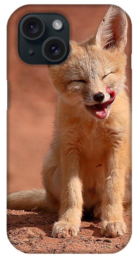 Kit Fox iPhone Case featuring the photograph Kit Fox Pup Mid-lick by Max Allen