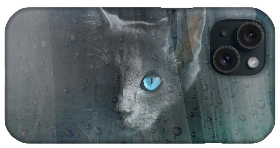 Blue iPhone Case featuring the photograph Kitty at the Window by Chris Armytage