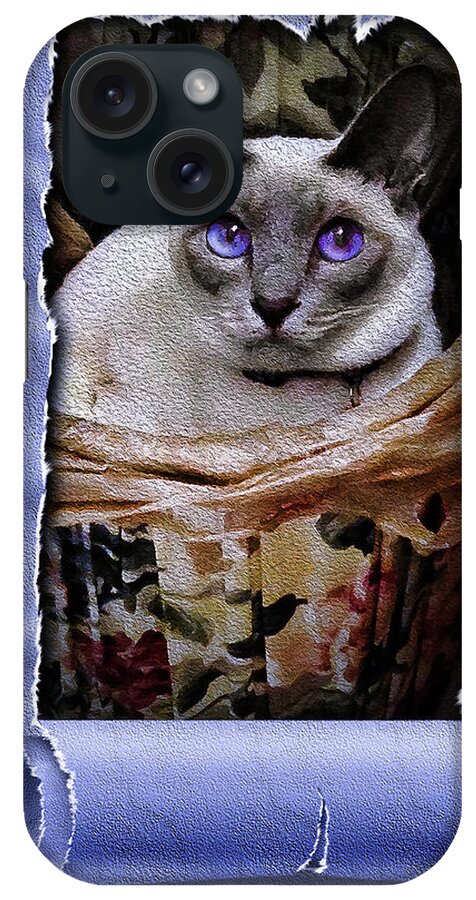 Photograph iPhone Case featuring the photograph Kitty in a Basket by Reynaldo Williams