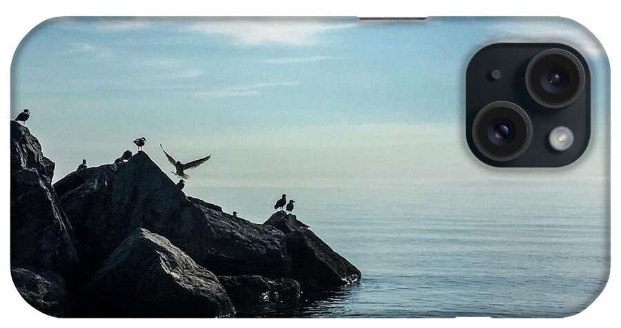 Seagulls iPhone Case featuring the photograph Klode Gulls by Terri Hart-Ellis