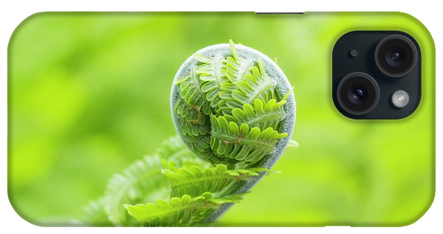 Fern iPhone Case featuring the photograph Koru by Holly Ross