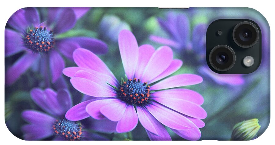 Daisies iPhone Case featuring the photograph The Painted Daisy by Jessica Jenney
