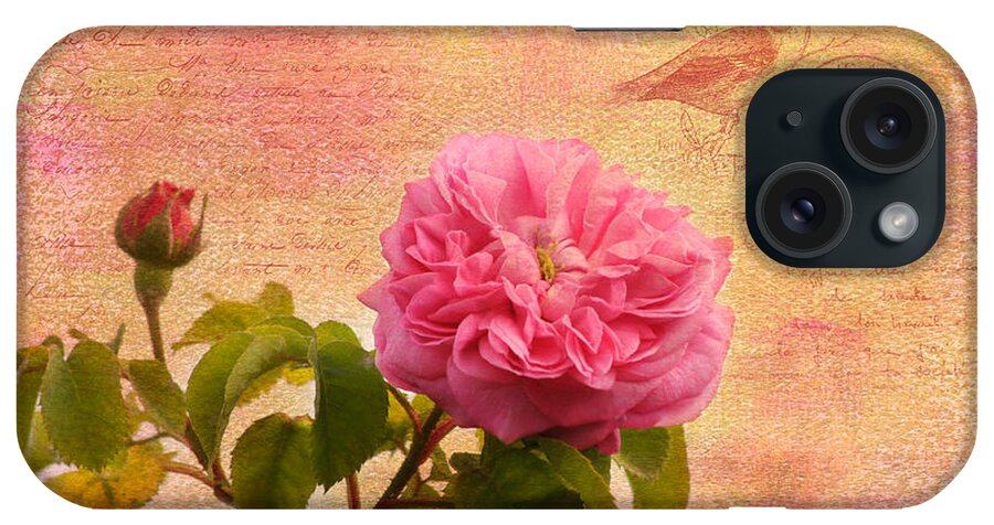 Pink Rose iPhone Case featuring the photograph La Rose by Kim Hojnacki