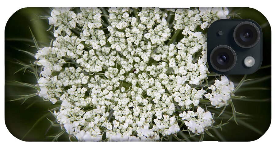 Floral iPhone Case featuring the photograph Lacy Queen by Michael Friedman