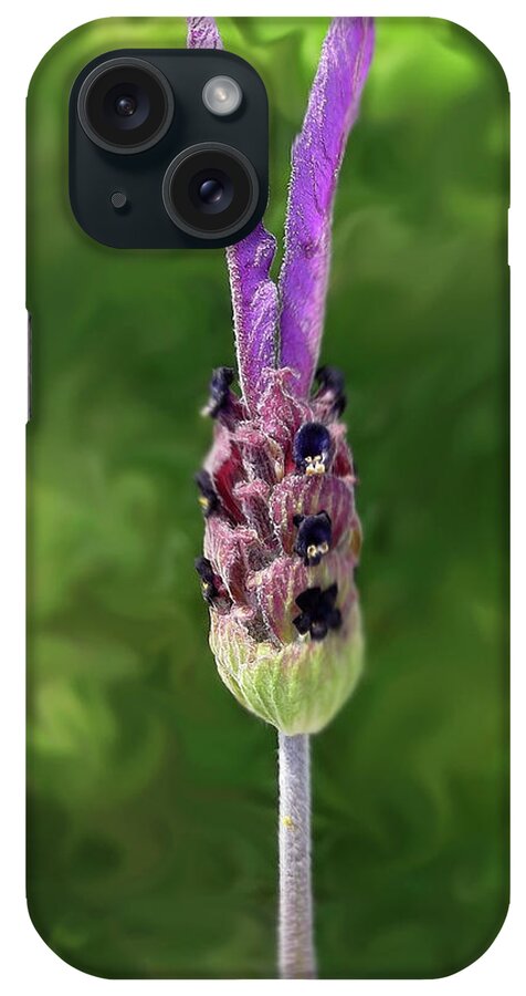 Farmboyzim iPhone Case featuring the photograph Lady Lavender by Harold Zimmer