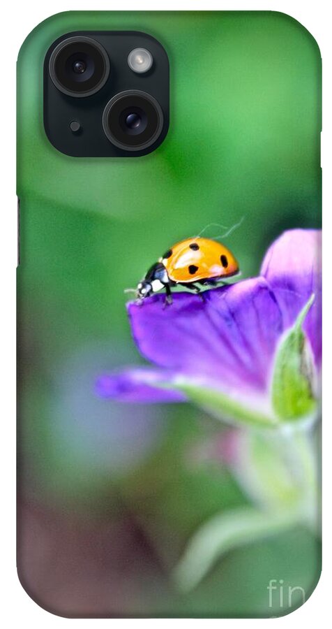 Macro iPhone Case featuring the photograph Ladybug by Elisabeth Derichs
