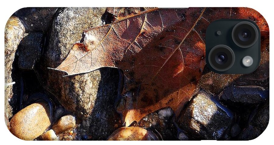Leaves iPhone Case featuring the photograph Laeves In Fall by Wolfgang Schweizer