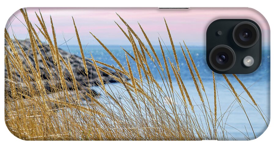 Lake iPhone Case featuring the photograph Lake Erie Through the Grass by Linda Joyce