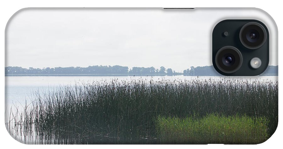 Misty iPhone Case featuring the photograph Lake Grasses by Dart Humeston