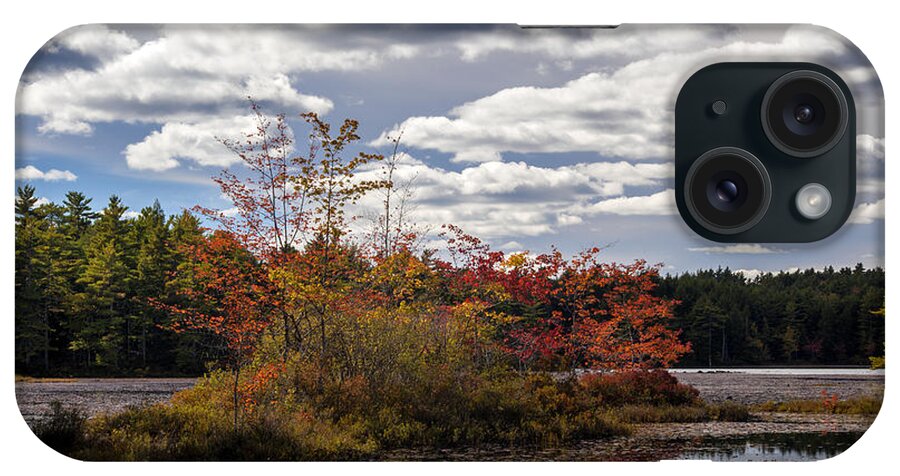Autumn iPhone Case featuring the photograph Lake Island Autumn by Irwin Barrett