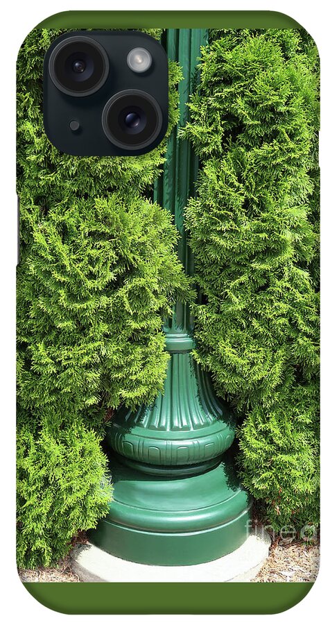 Lamppost iPhone Case featuring the photograph Lamppost Greens by Ann Horn