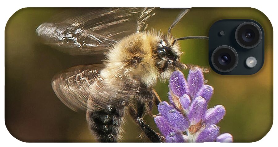 Bee iPhone Case featuring the photograph Landing on Lavender by Len Romanick