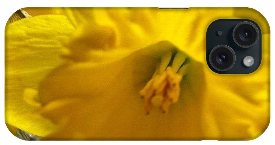 Yellow Buttercup Daffodil Spring Flower Macro iPhone Case featuring the photograph Buttercup by Carey Peacock