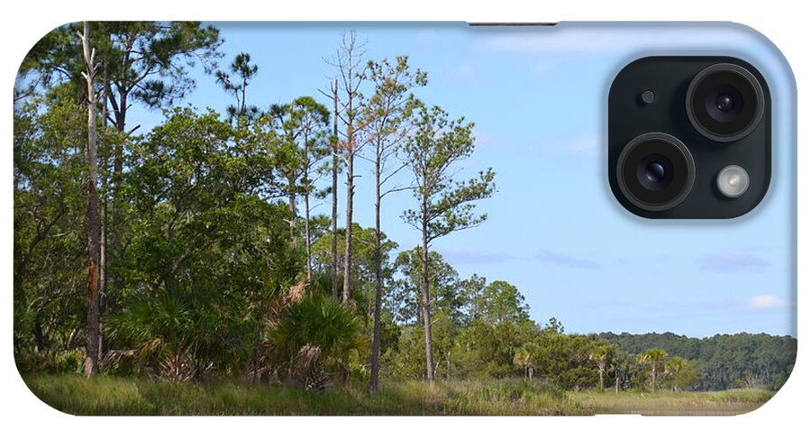 Sky iPhone Case featuring the photograph Landscape and Blue Sky by Carol Bradley