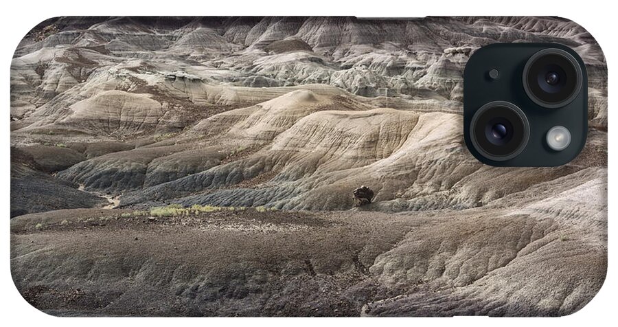 Petrified Forest iPhone Case featuring the photograph Landscape With Many Colors by Melany Sarafis