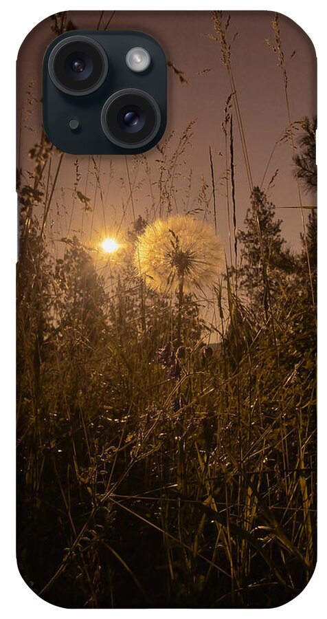 Sunrise iPhone Case featuring the photograph Landscape1 by Loni Collins