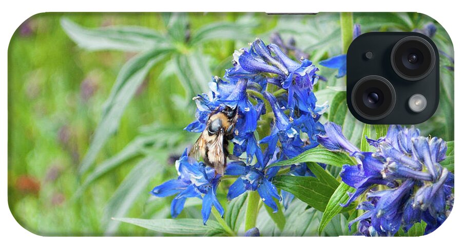 Colorado iPhone Case featuring the photograph Larkspur Bee by Julia McHugh