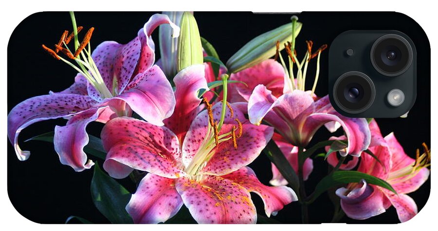 Sunset Lit Lillies iPhone Case featuring the photograph Last light by David Barker