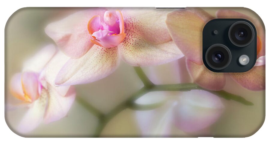 Flower iPhone Case featuring the photograph Lasting forever. by Usha Peddamatham