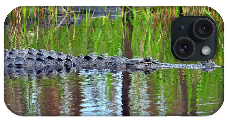 Alligator iPhone Case featuring the photograph Later Gator by Al Powell Photography USA