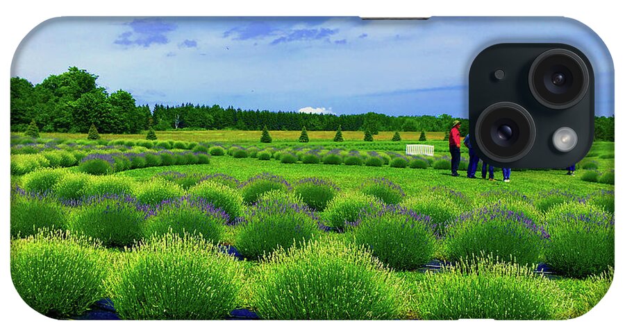 Wisconsin iPhone Case featuring the photograph Lavender Fields by Rod Whyte